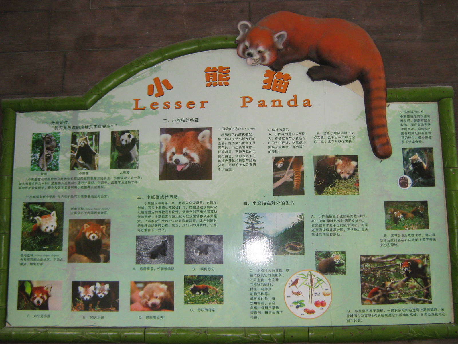 red panda signage