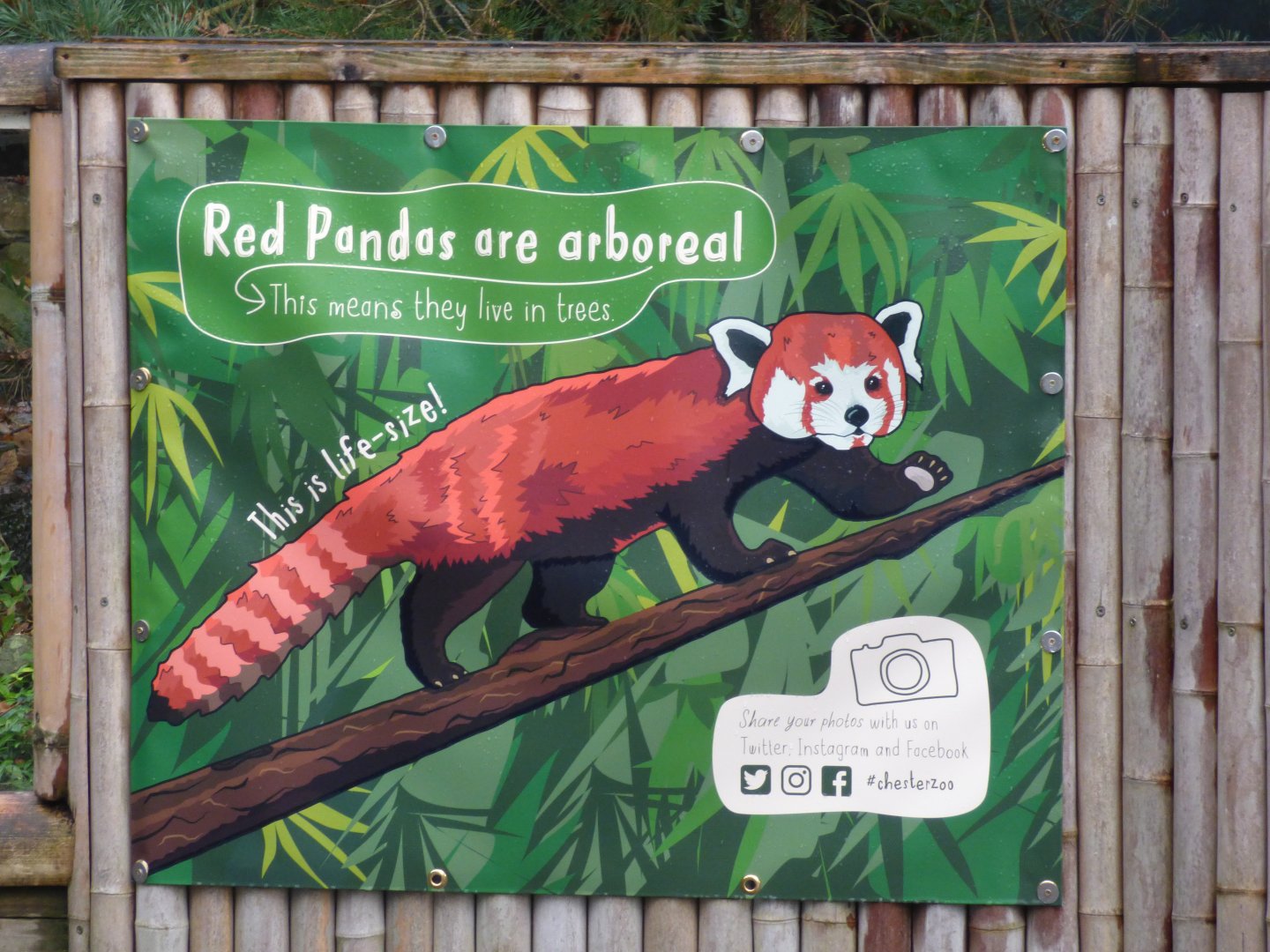 Red panda Signage