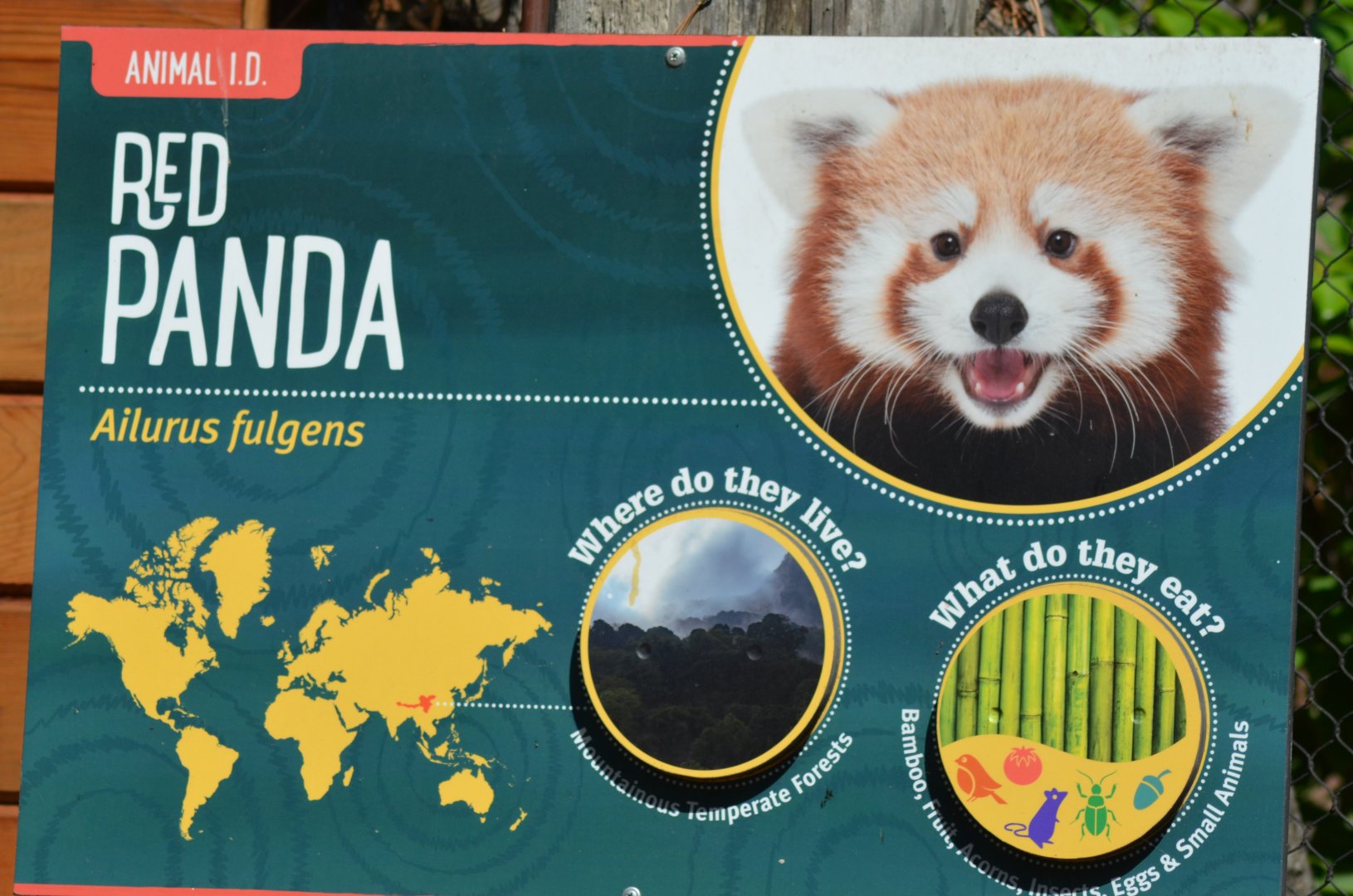 Red Panda Signage