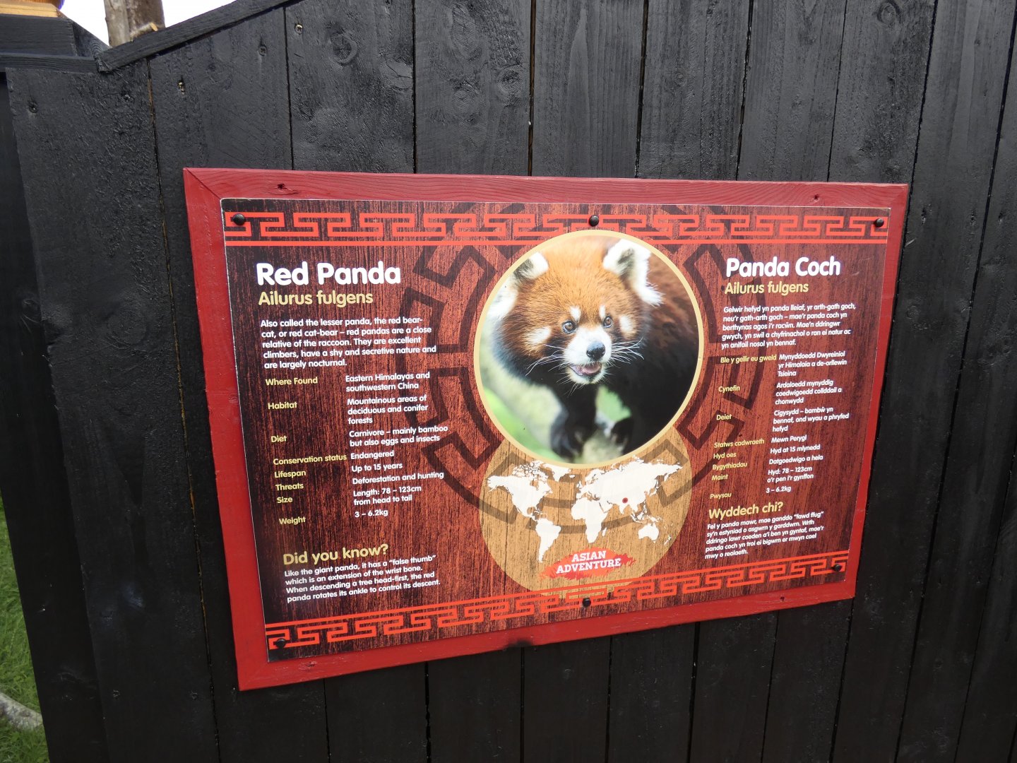 Red Panda signage
