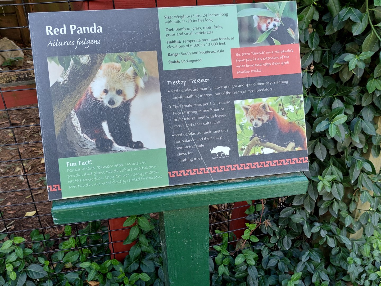 Red Panda Signage