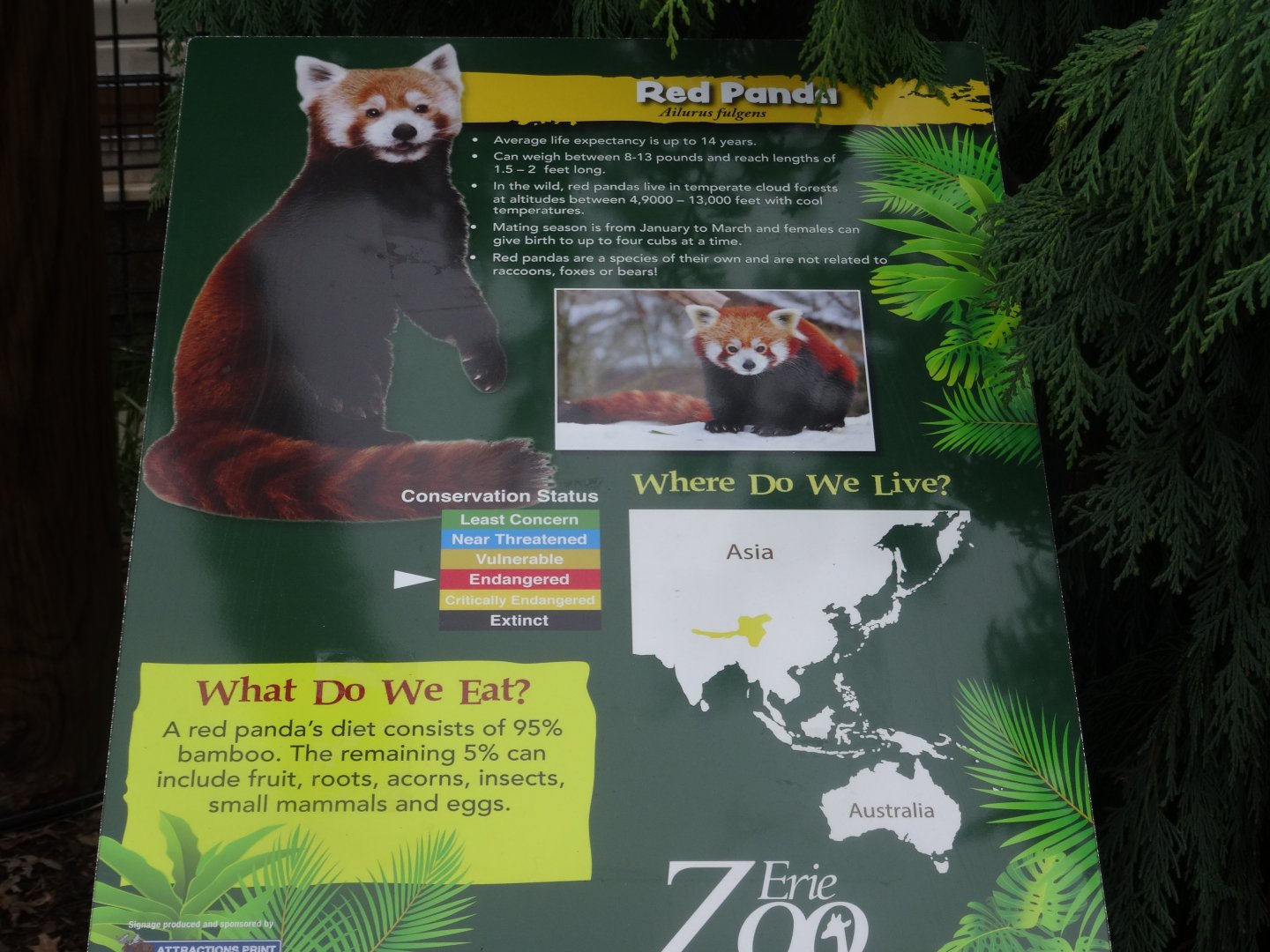 Red Panda Signage