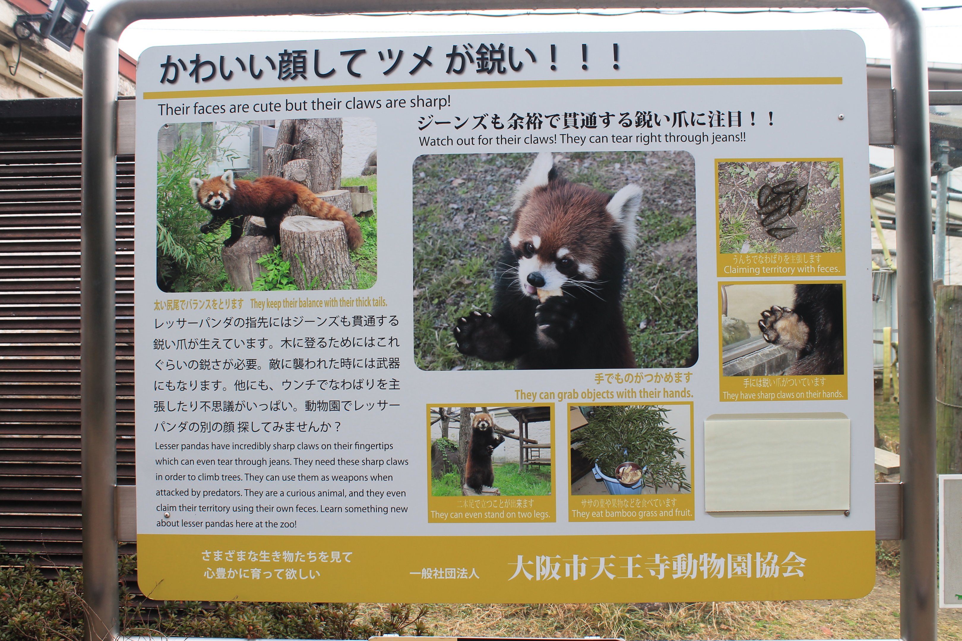 Red Panda signage