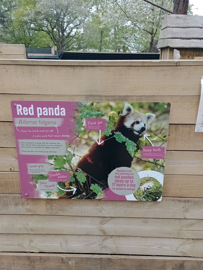 Red panda signage