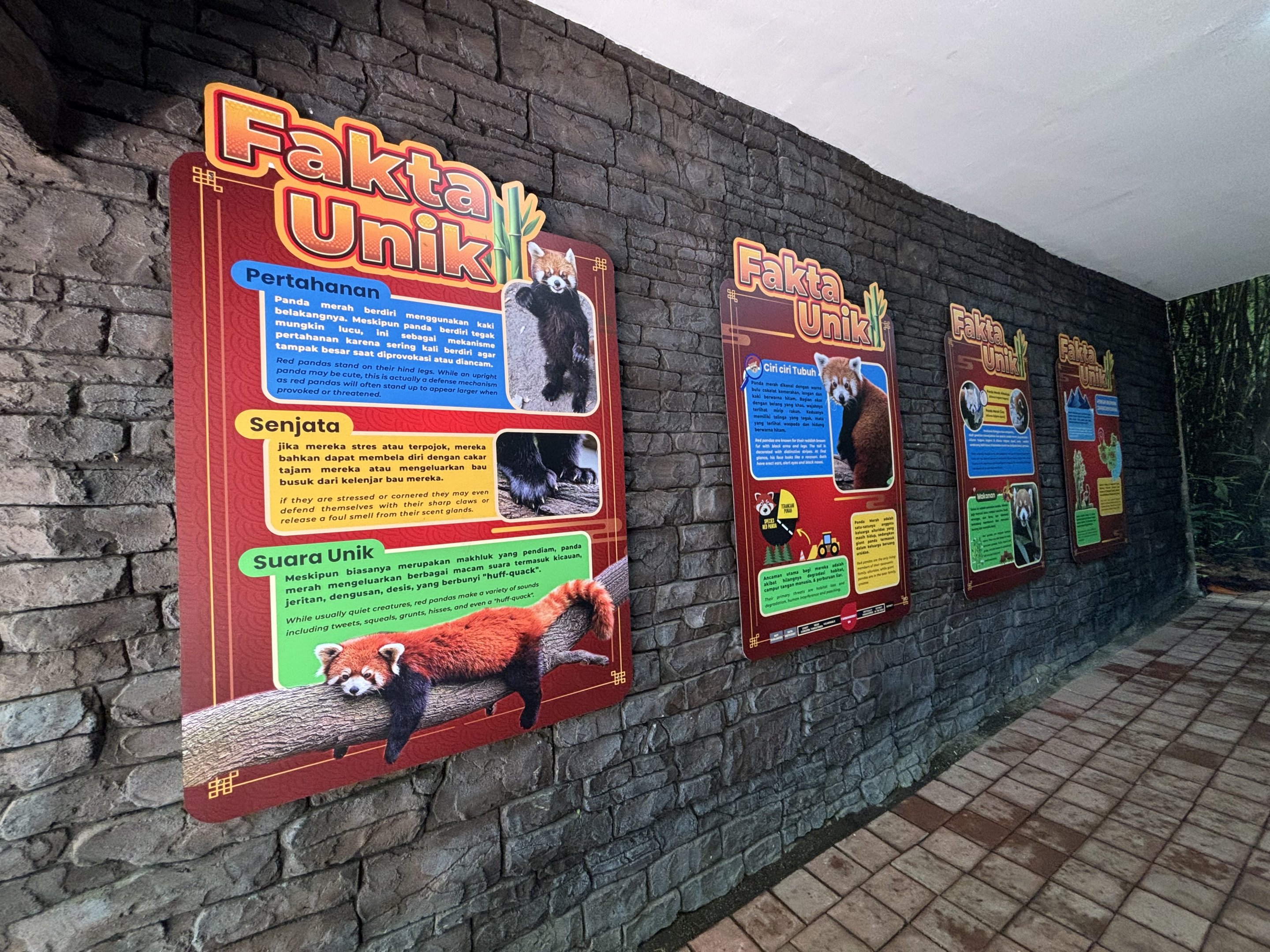 Red Panda Signs (New in 2024)