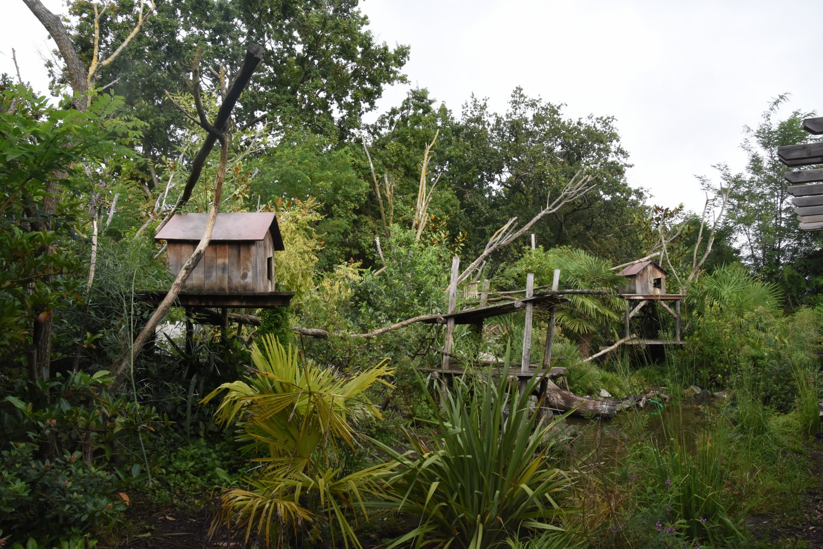 Red Panda & Small-clawed Otter enclosure