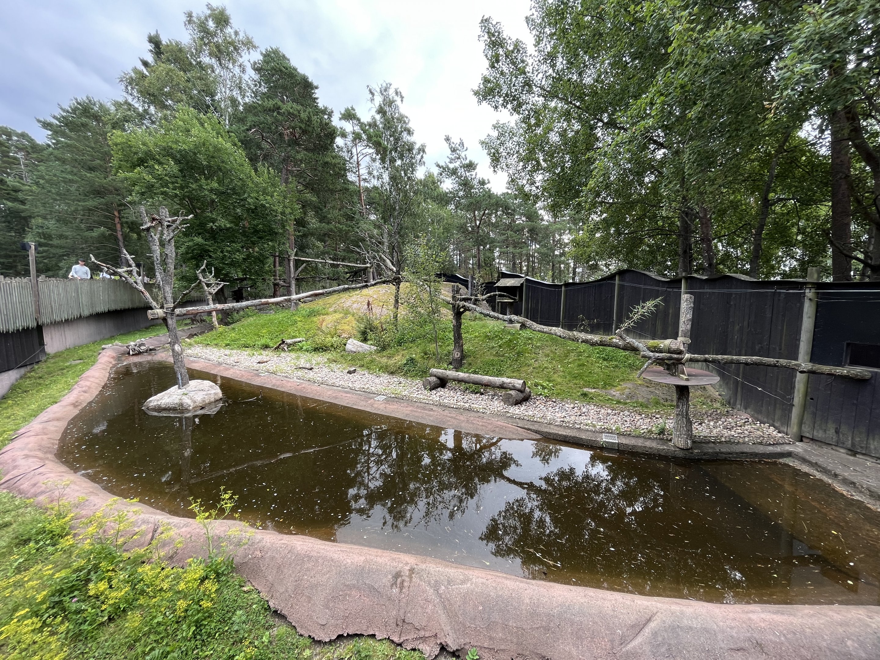 Red Panda/Small-clawed Otter Exhibit