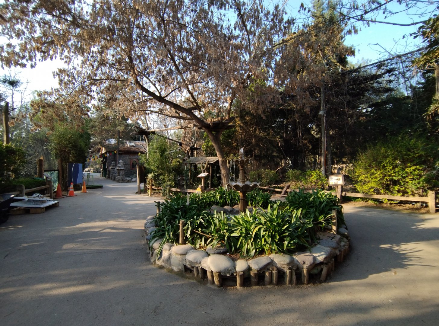 Red panda square - Buin zoo