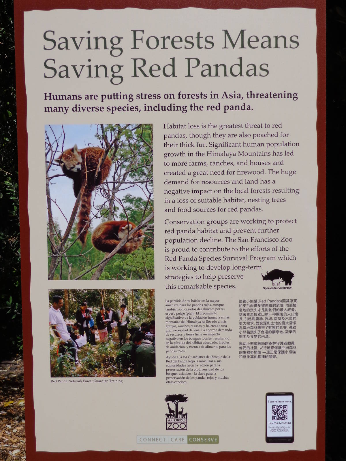 Red Panda Treehouse Signage