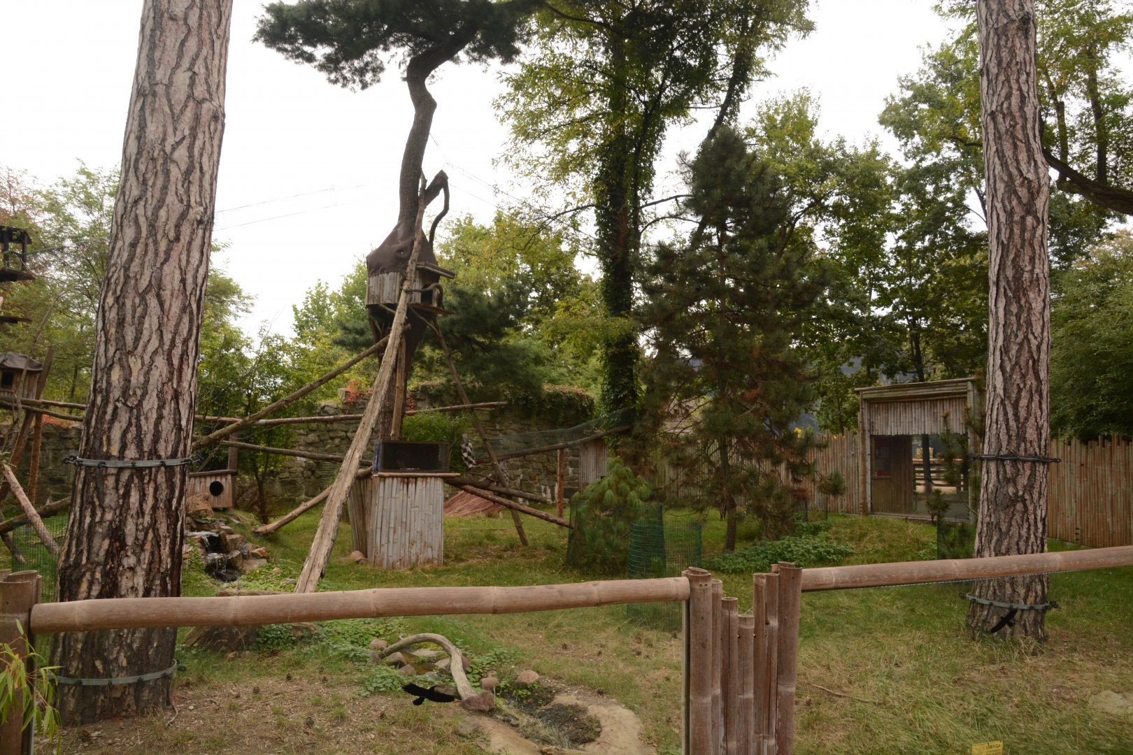 Red Panda & Tufted Deer enclosure