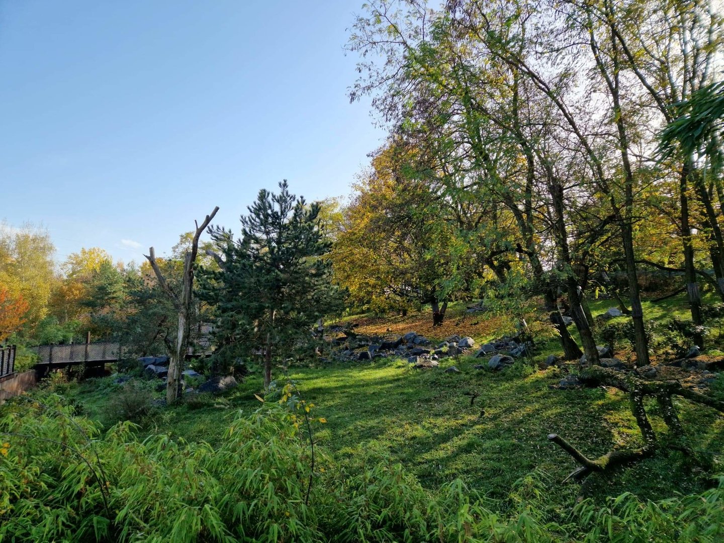 Red Panda/Tufted Deer exhibit