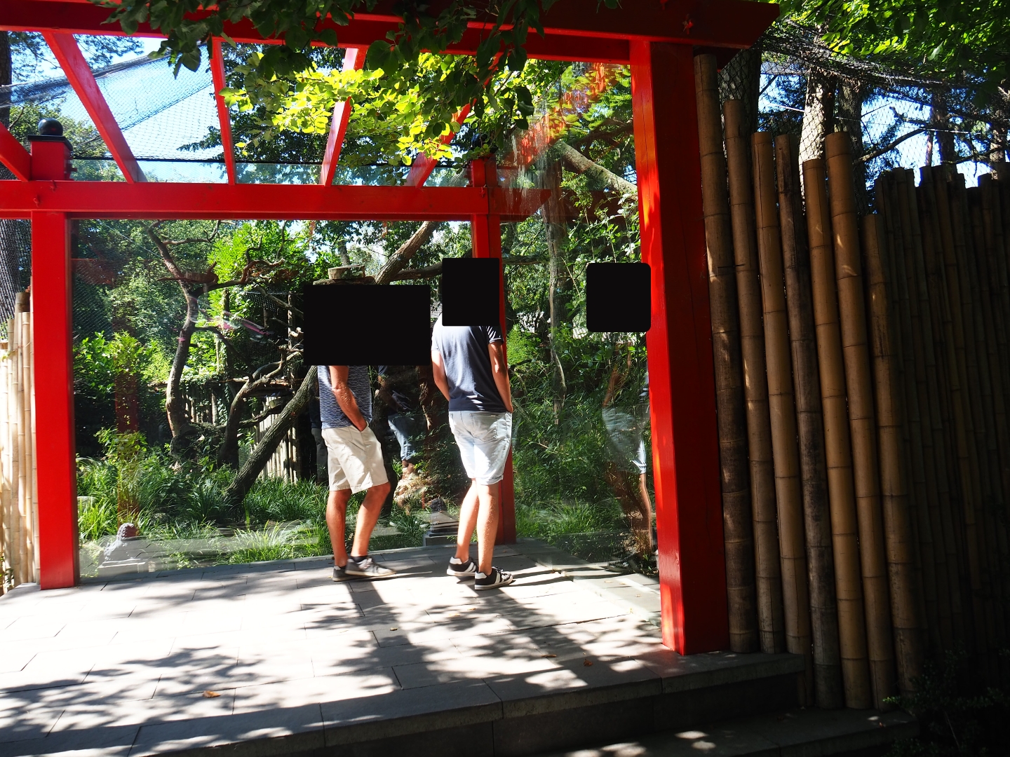 Red panda viewing area