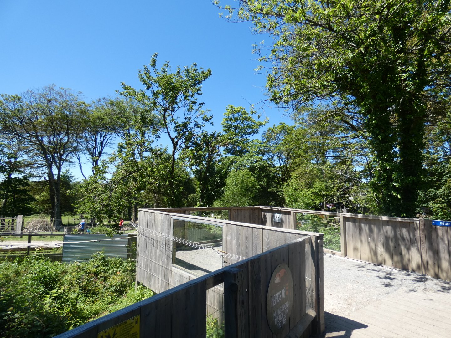 Red panda viewing area