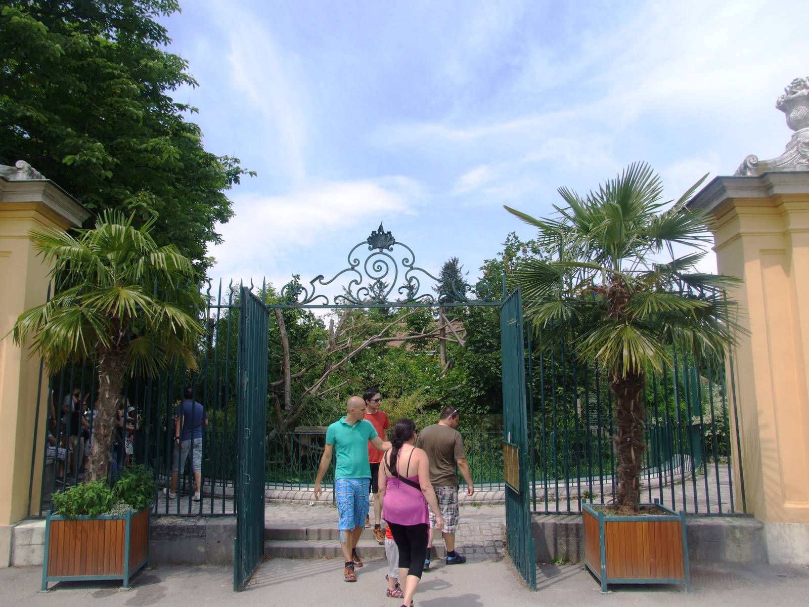 Red Panda Viewing at Vienna, 16/06/13