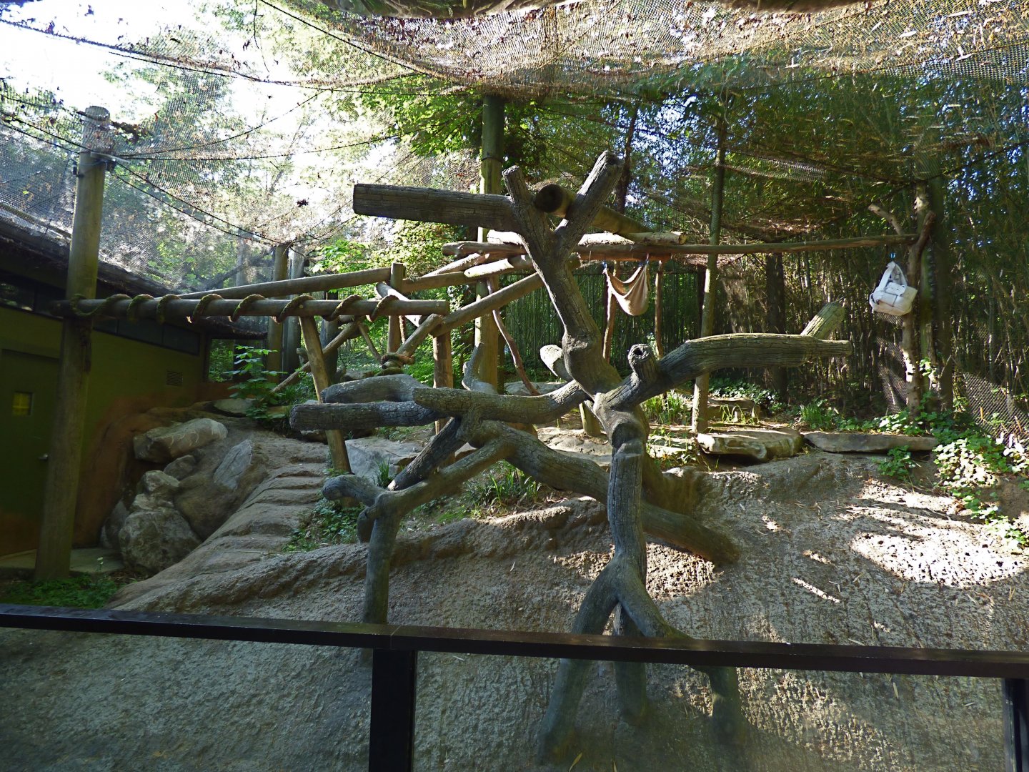 Red Panda Village (Walk Through Exhibit) - May 2018