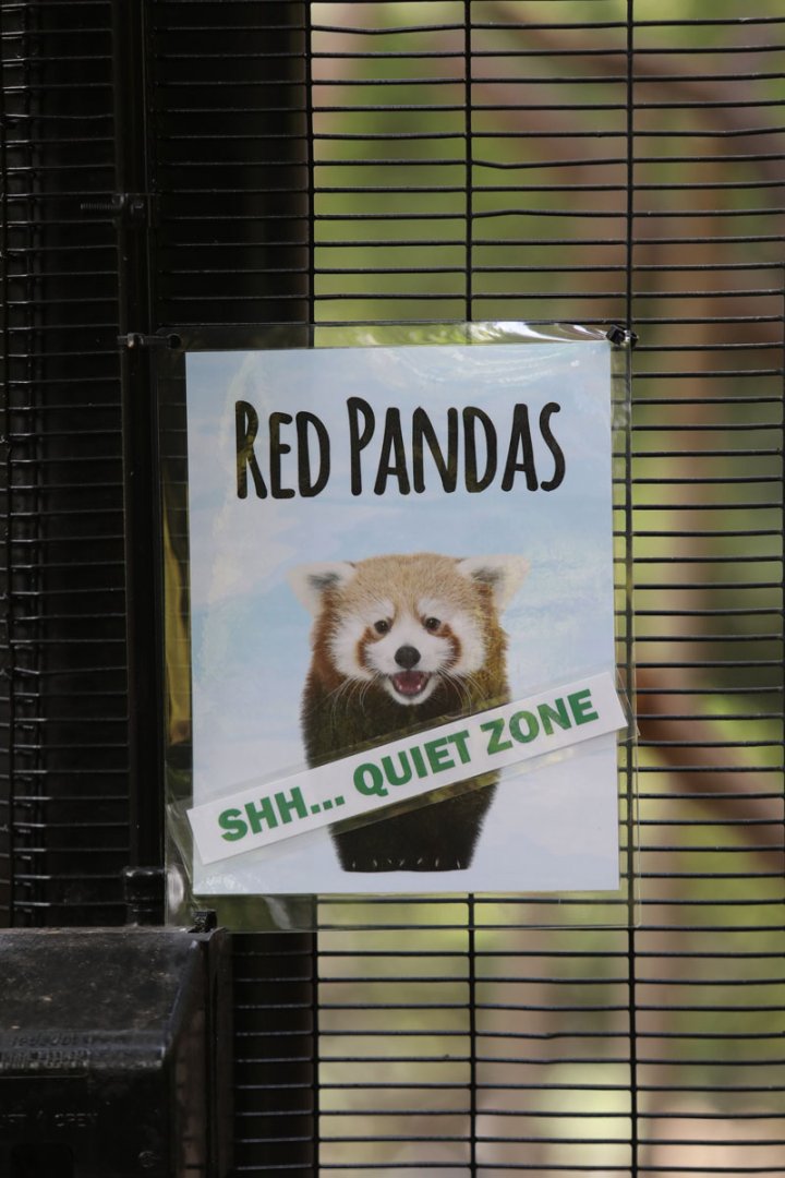 red panda visitor instructions
