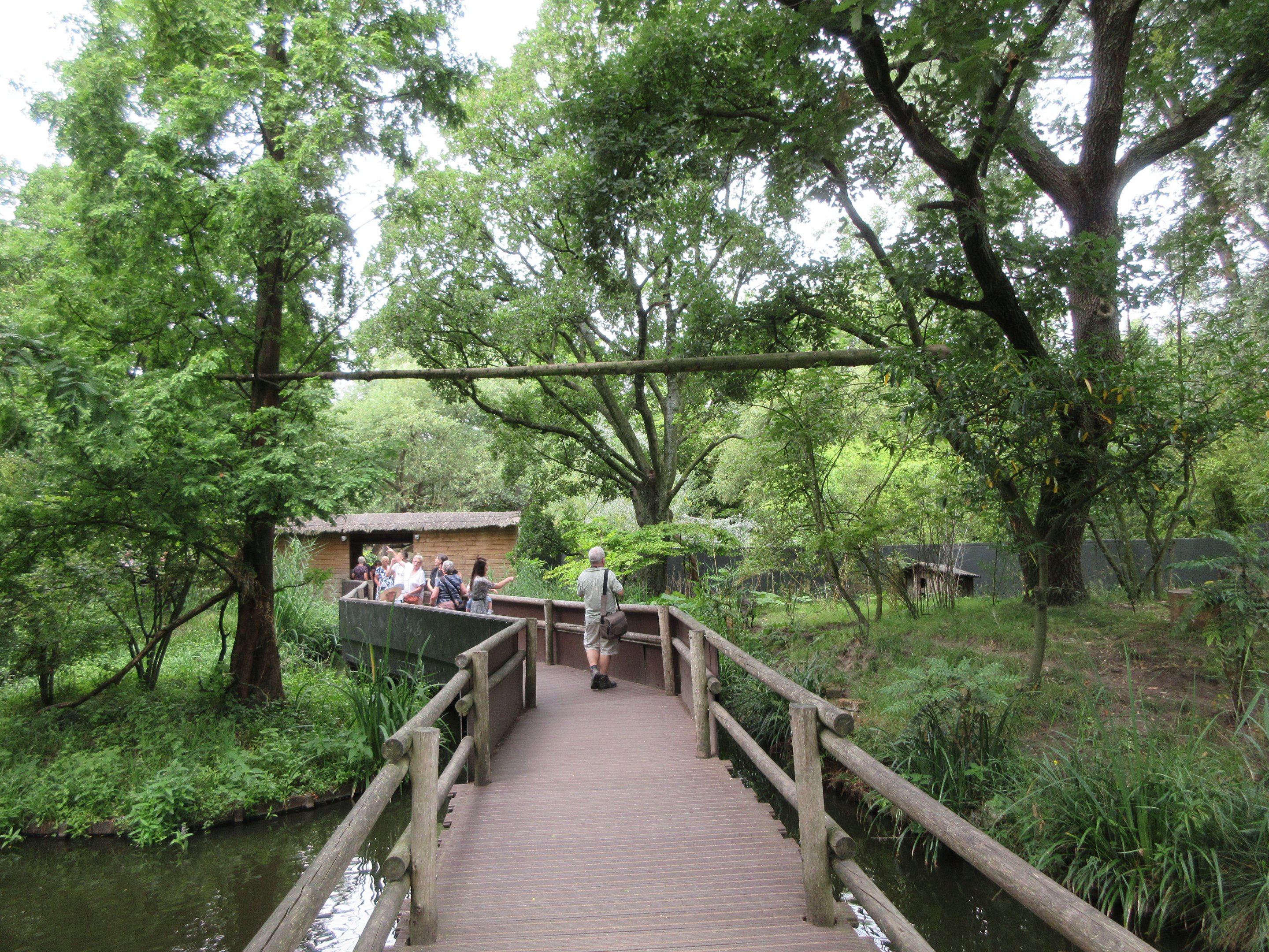 Red Panda/Western Tufted Deer Exhibit