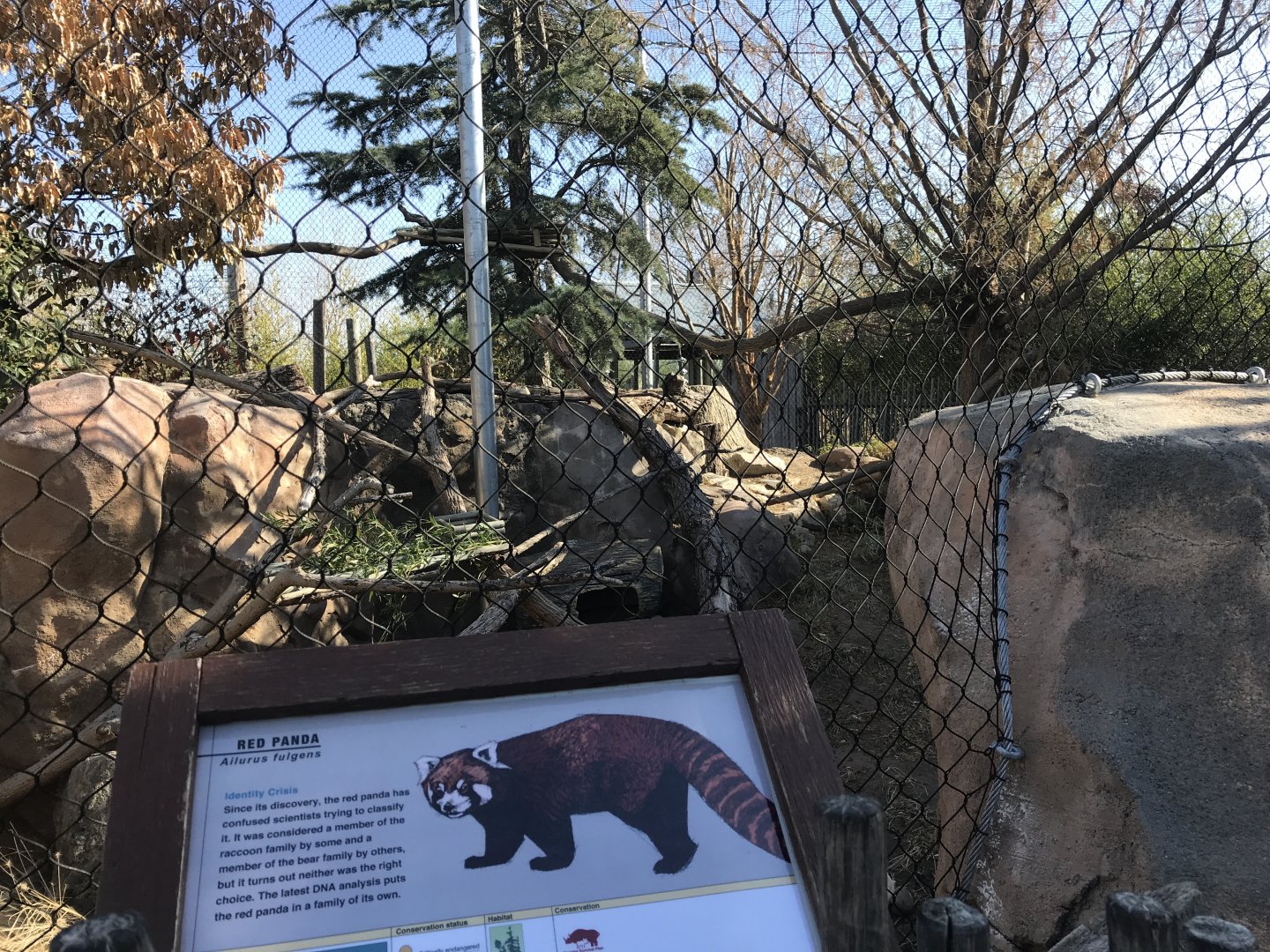 Red Panda Yard