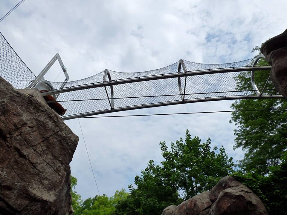 Red Panda Zoo360 Trail (Water is Life) - May 2018