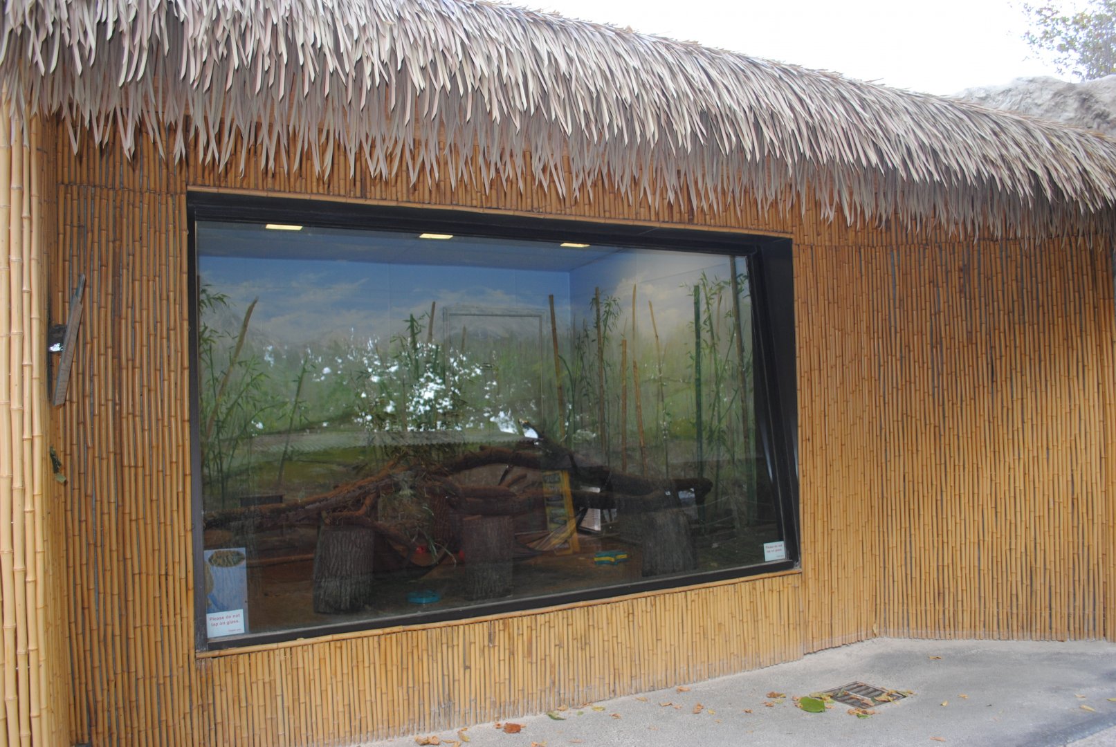 Red Pandas Exhibit - Indoor Holding