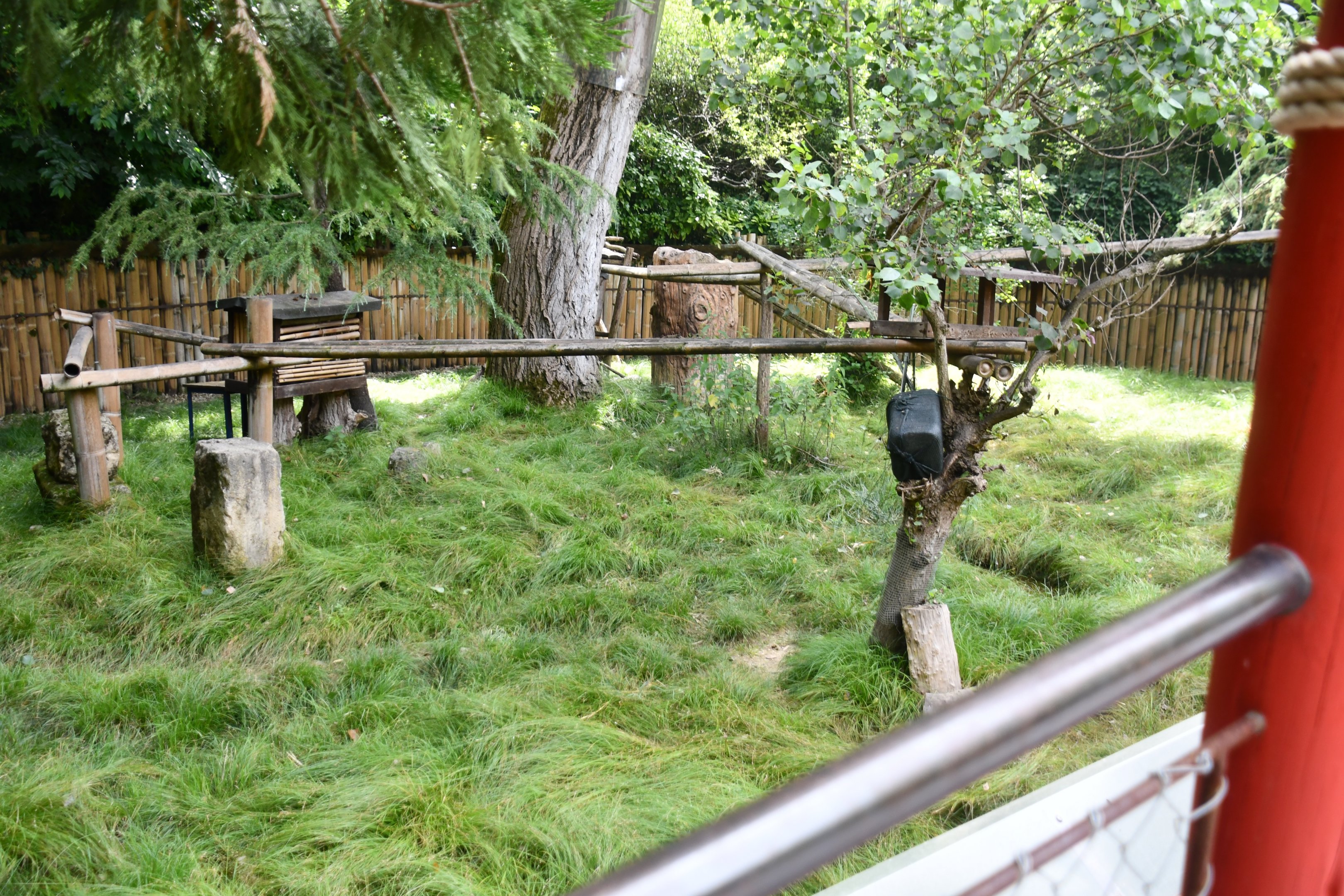 Red Pandas exhibit