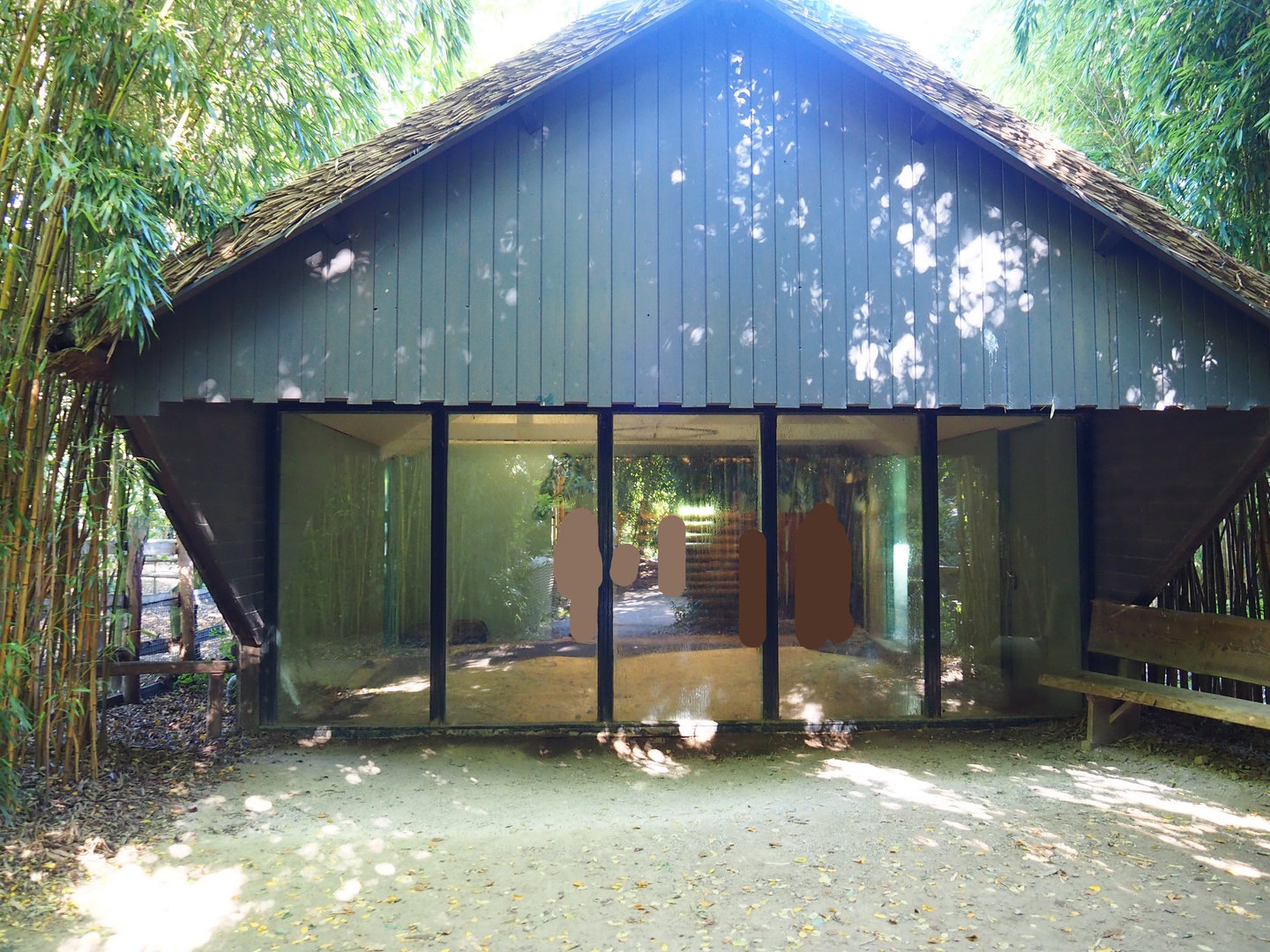 Red river hog and Western pygmy hippopotamus house, 2022-10-09