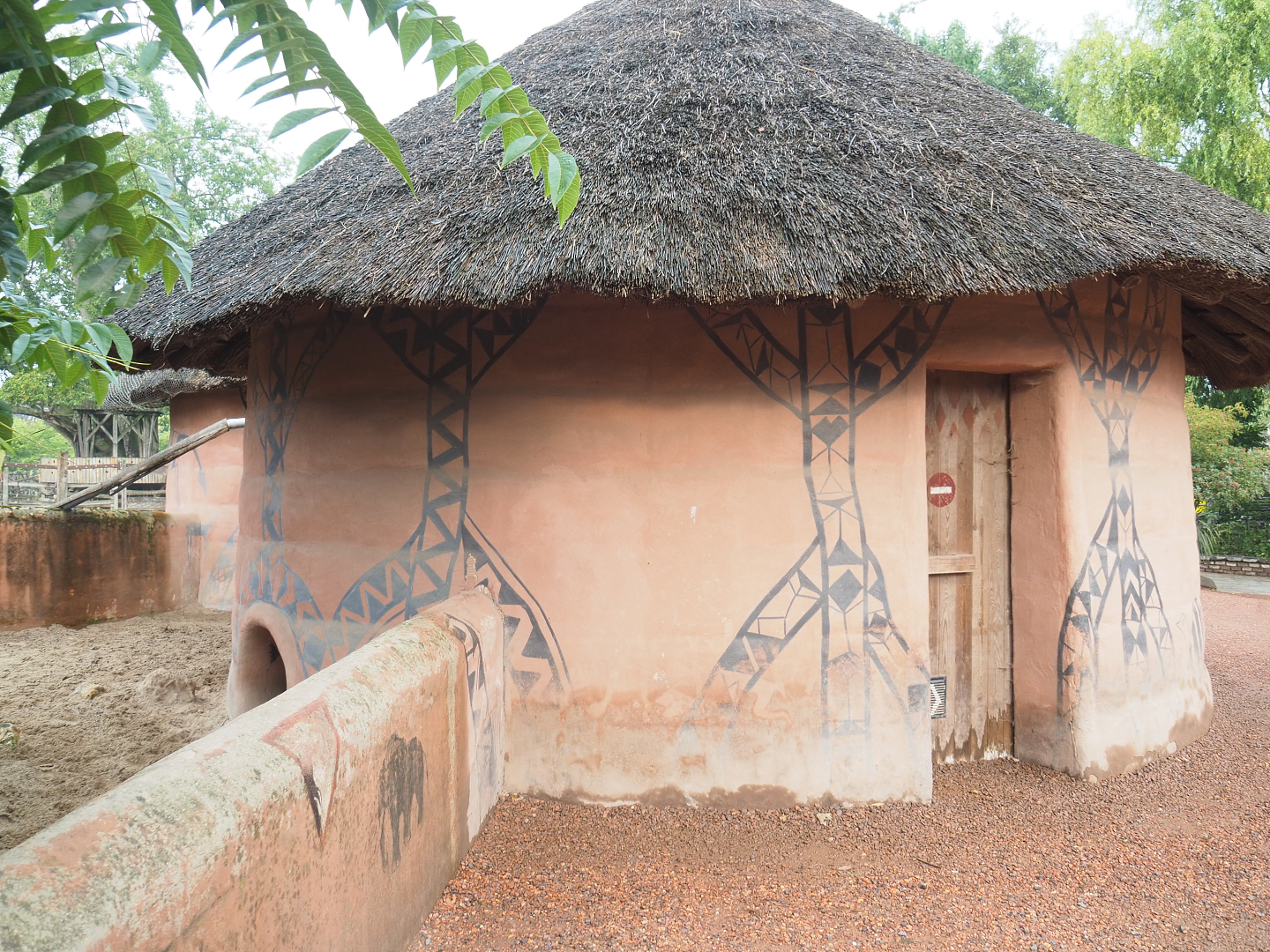 Red river hog barn, 2022-09-15