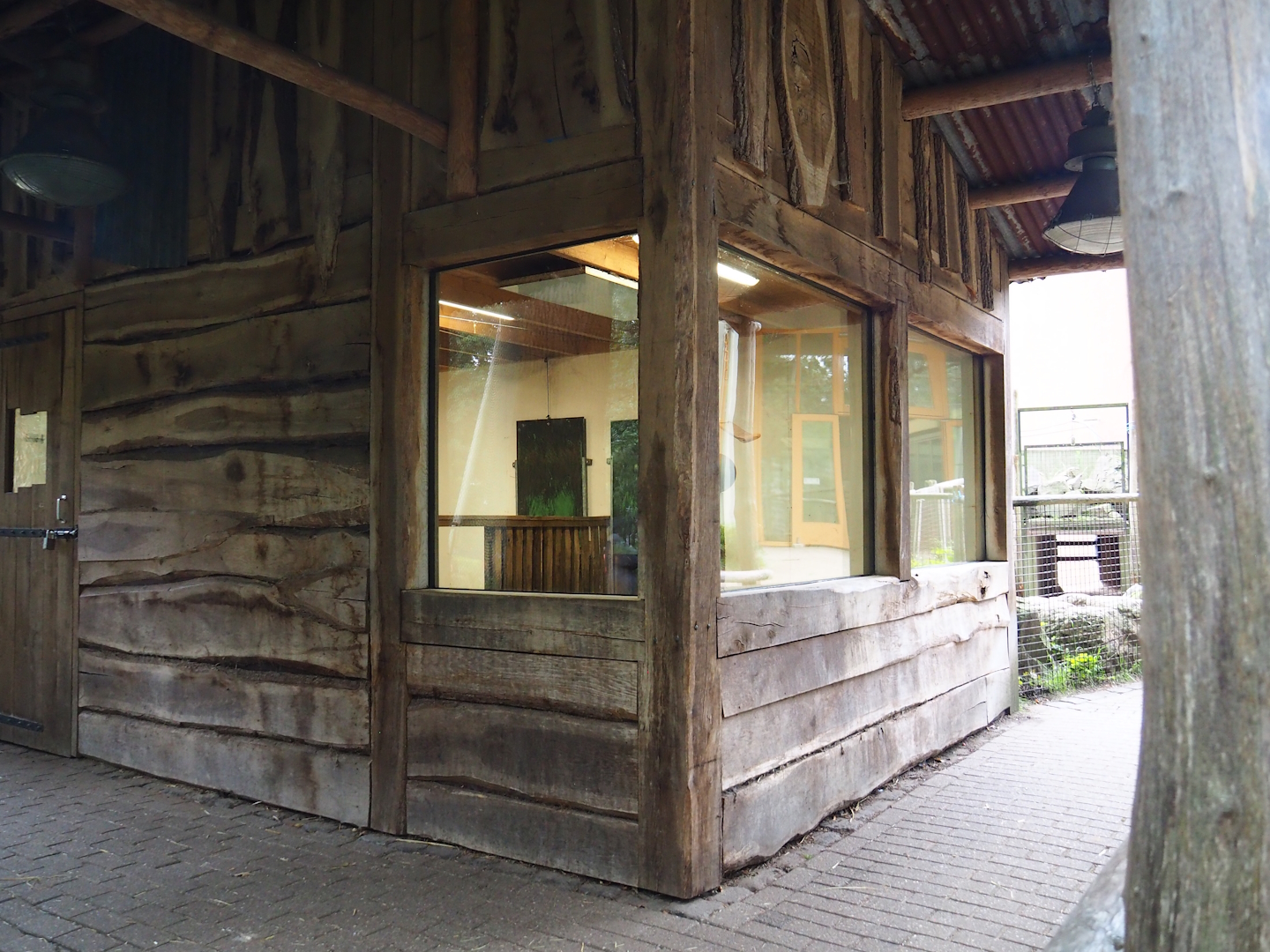 Red river hog barn, 2023-08-17