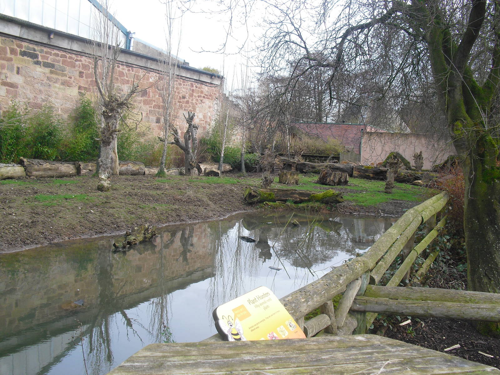 Red River Hog Enclosure (?) - 16/02/2011