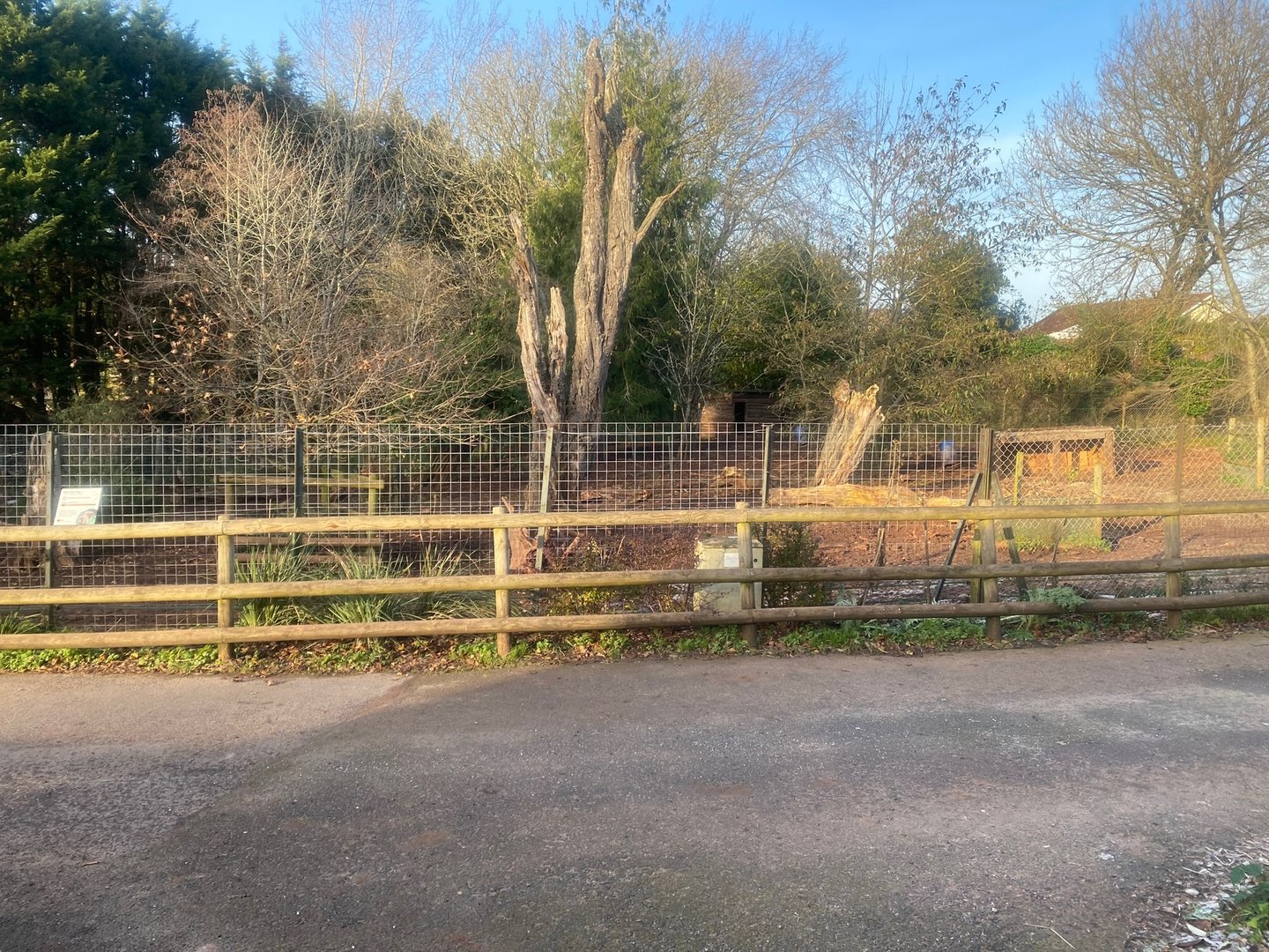 Red river hog enclosure 161222