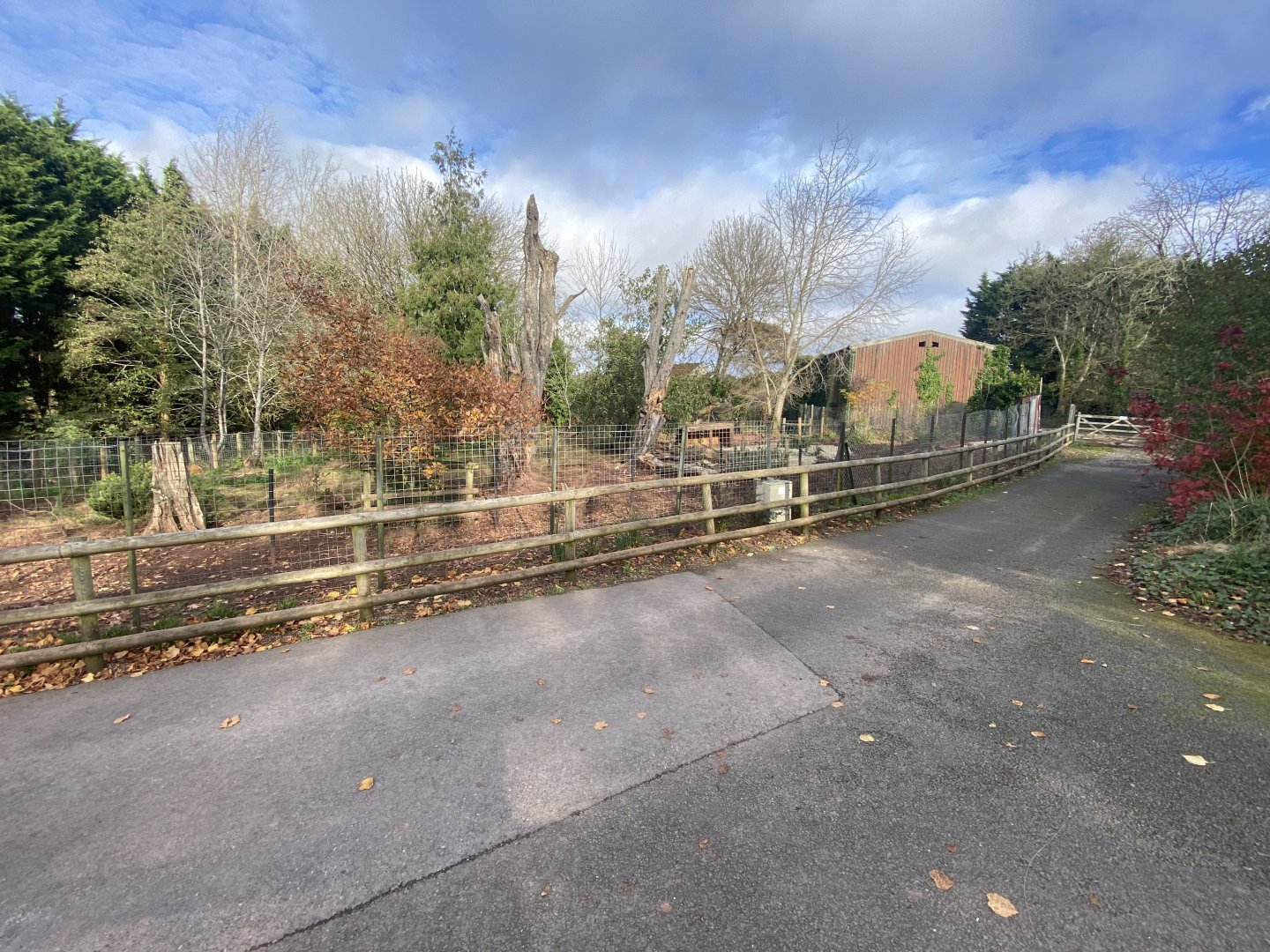 Red river hog enclosure 201121