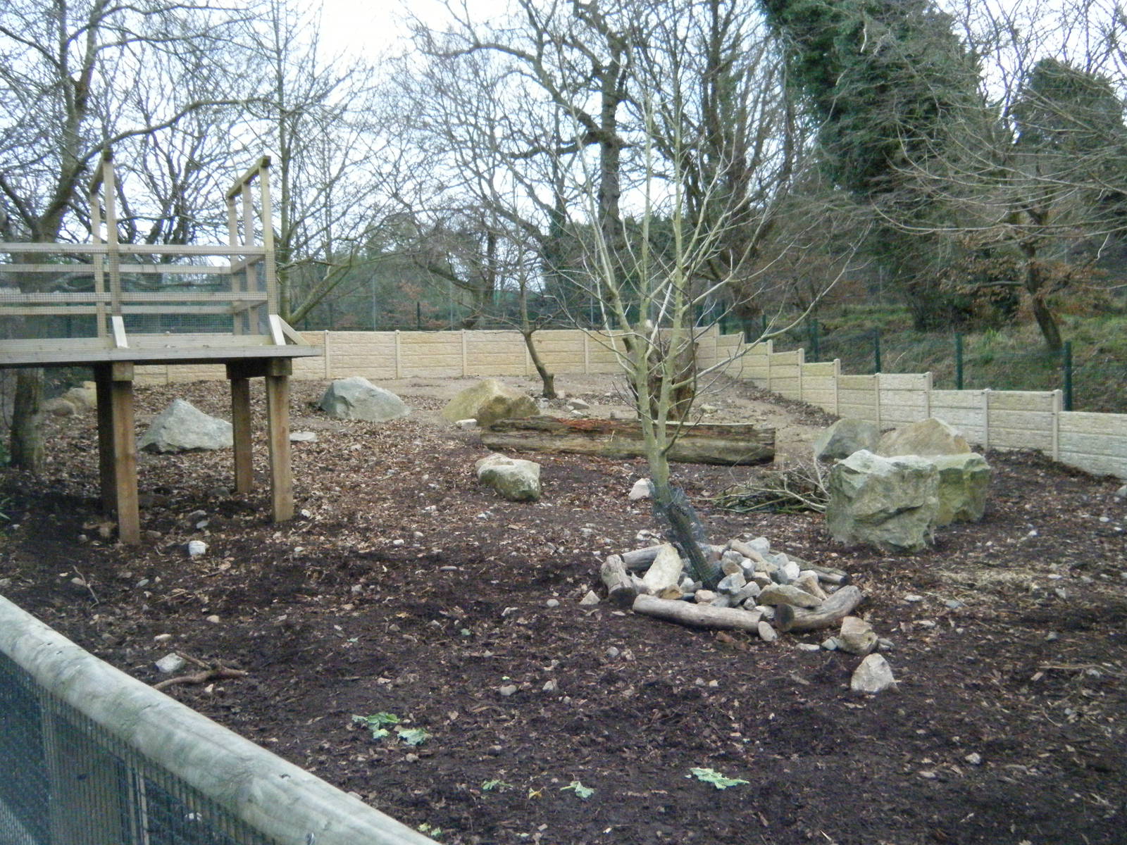 Red River Hog Enclosure