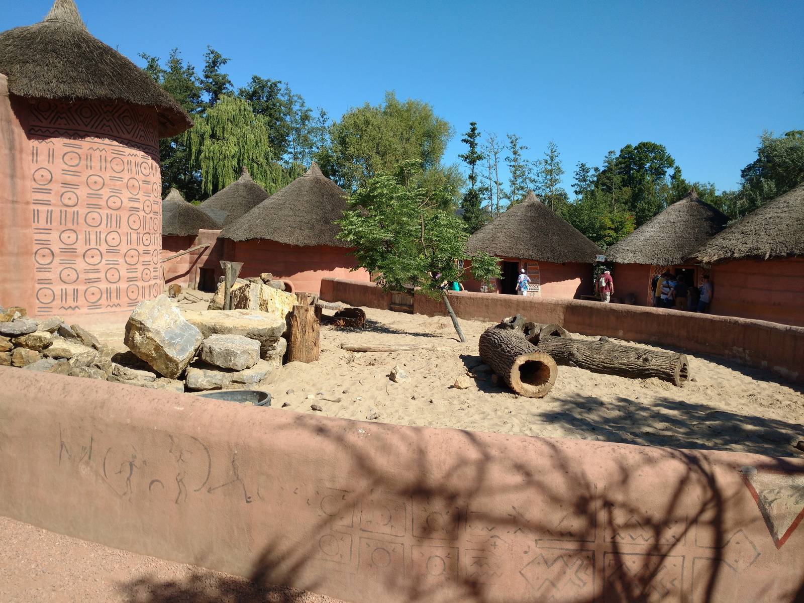 Red river hog enclosure
