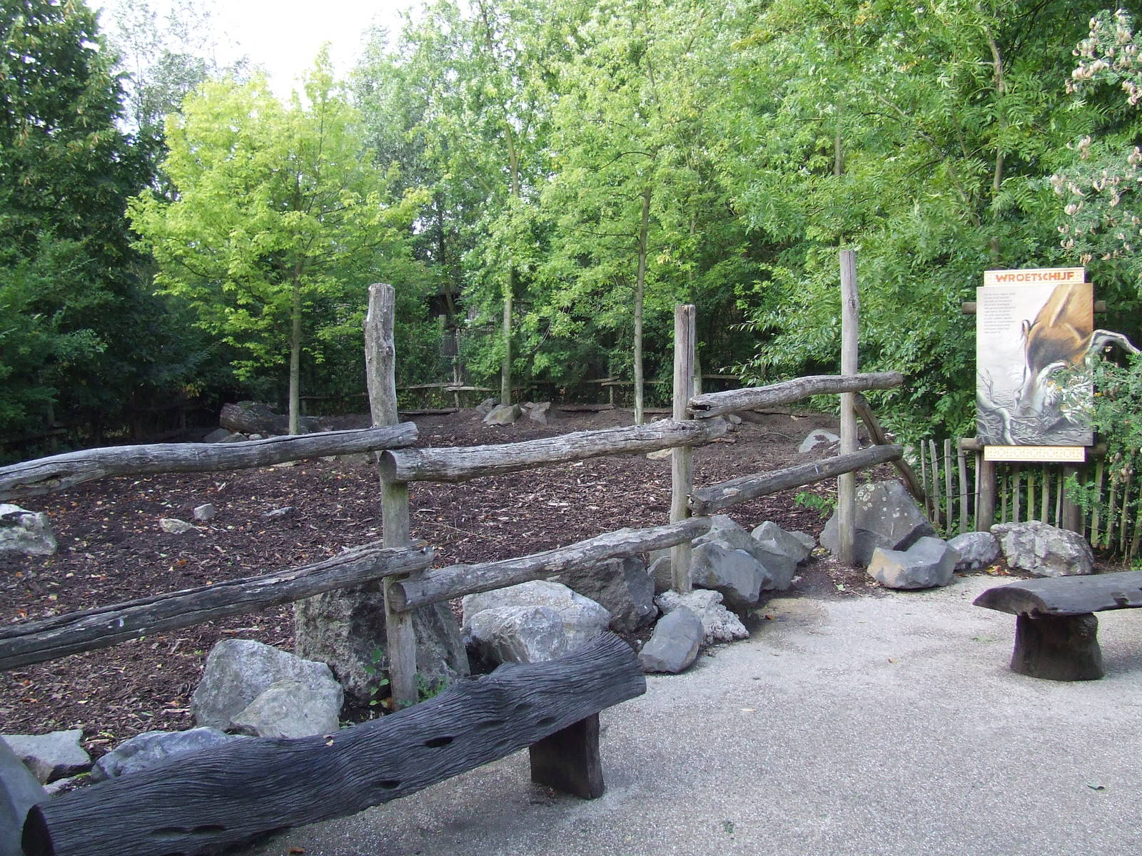 Red River Hog enclosure