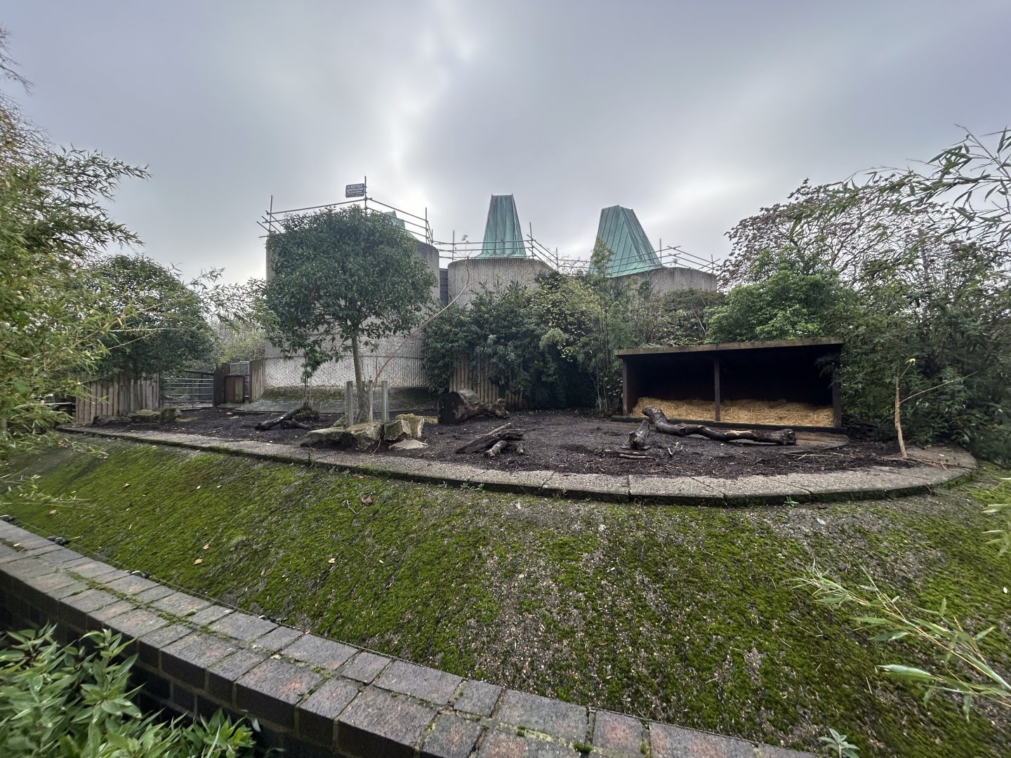 Red River Hog Exhibit #1 - Casson Pavillon