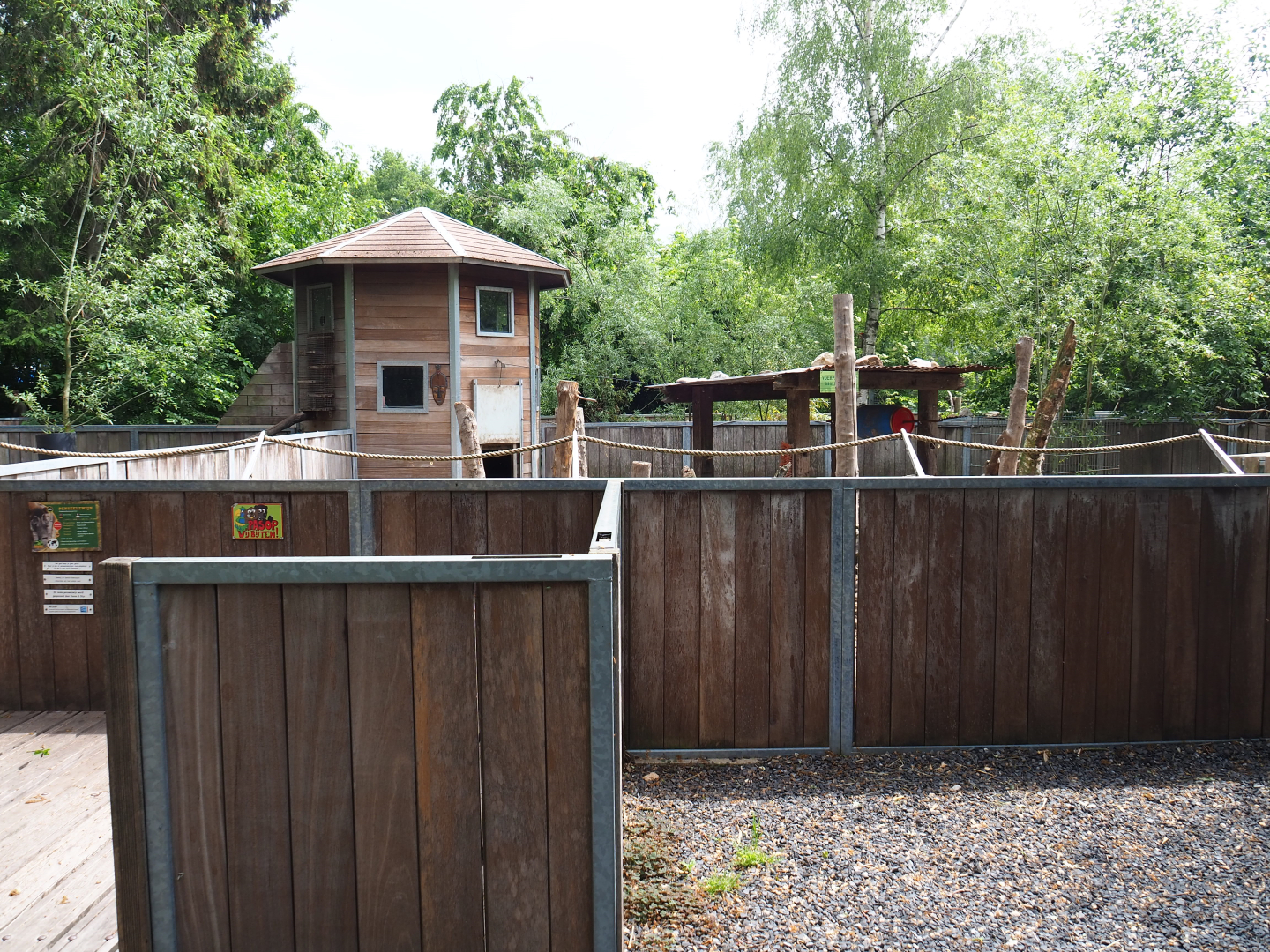 Red river hog exhibit and viewing area, 2022-05-17