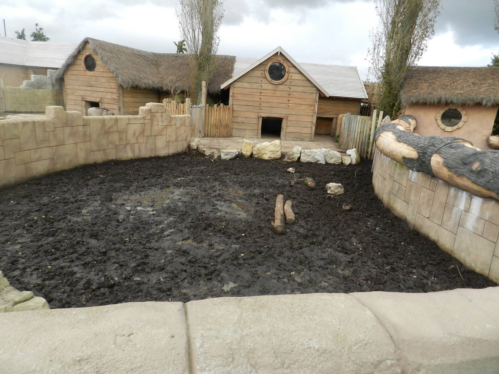 Red River Hog Exhibit at Flamingo Land - 14/10/2012
