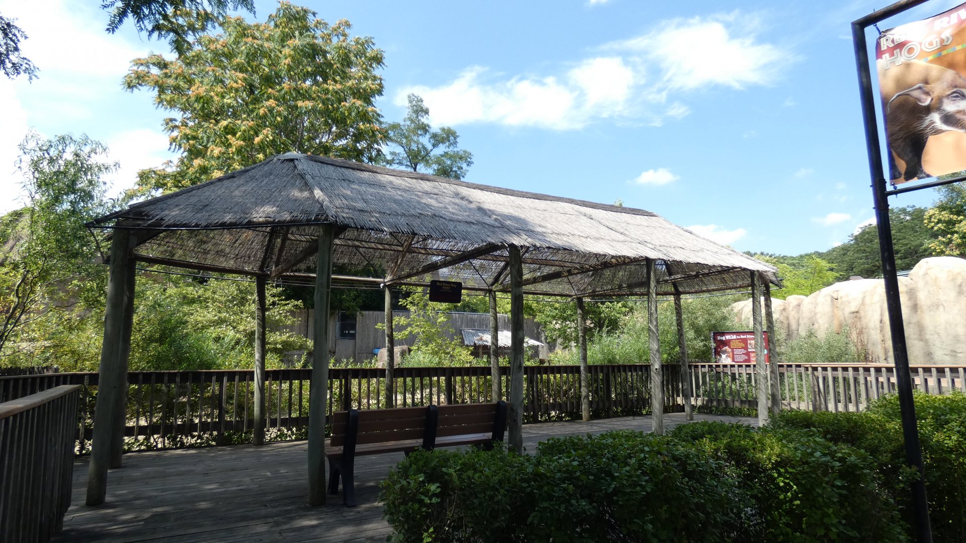 Red River Hog Exhibit, Hippo Haven - Aug. 2021