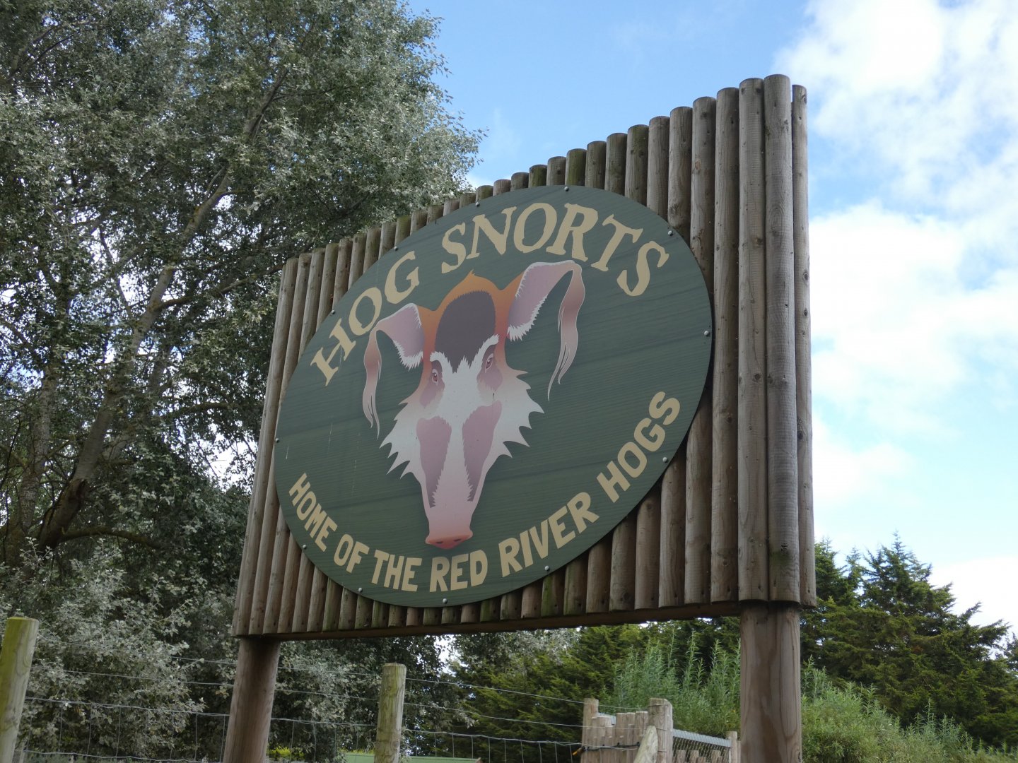 Red river hog exhibit signage