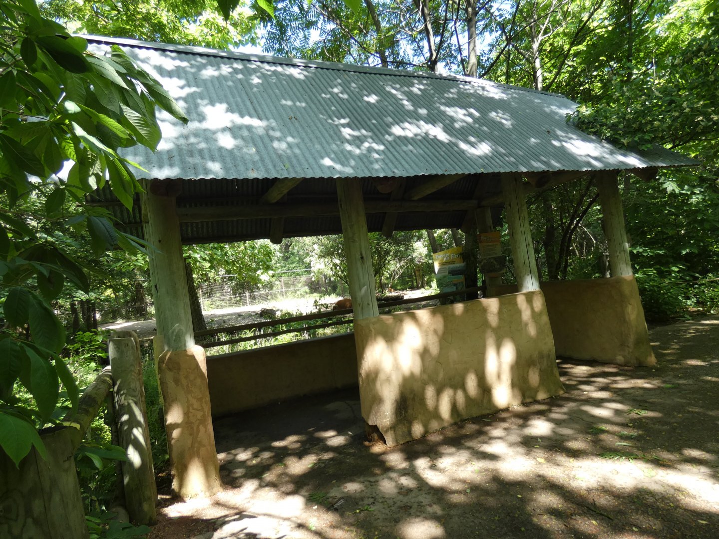 Red River Hog Exhibit Viewing Shelter, Habitat Africa, The Forest - Jun. 2021