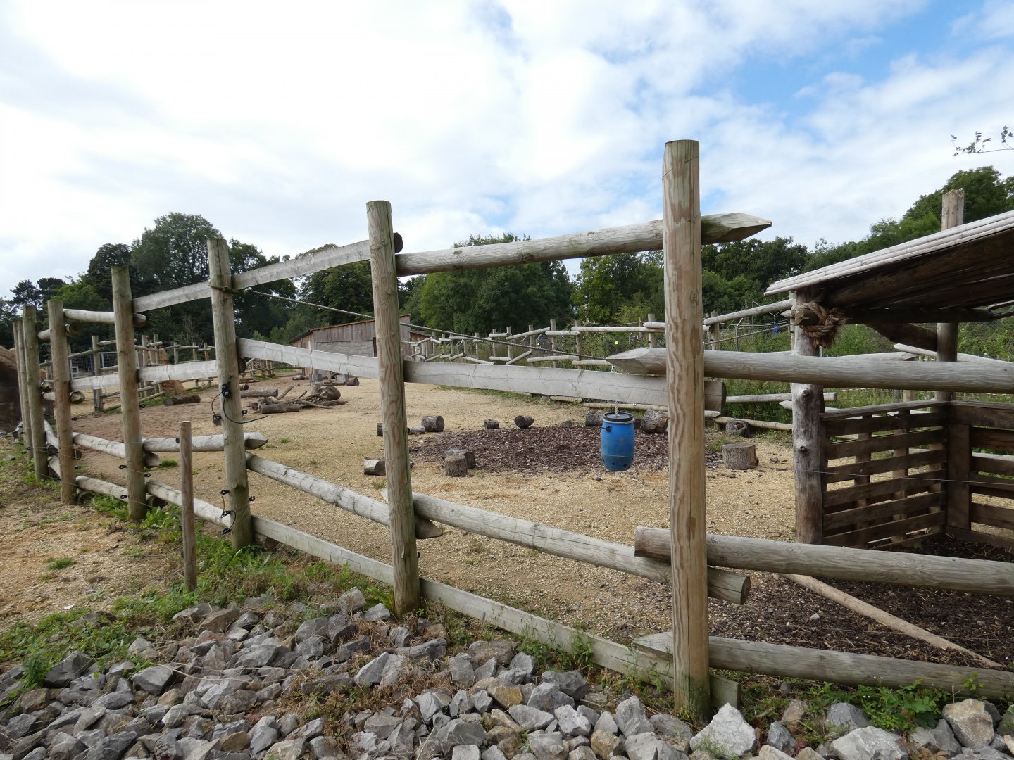 Red River Hog holding area