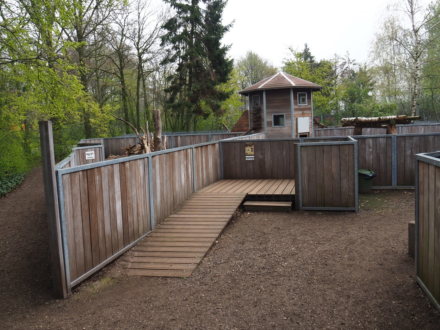 Red river hog, Indian crested porcupine and yellow mongoose viewing area, 2019-04-06