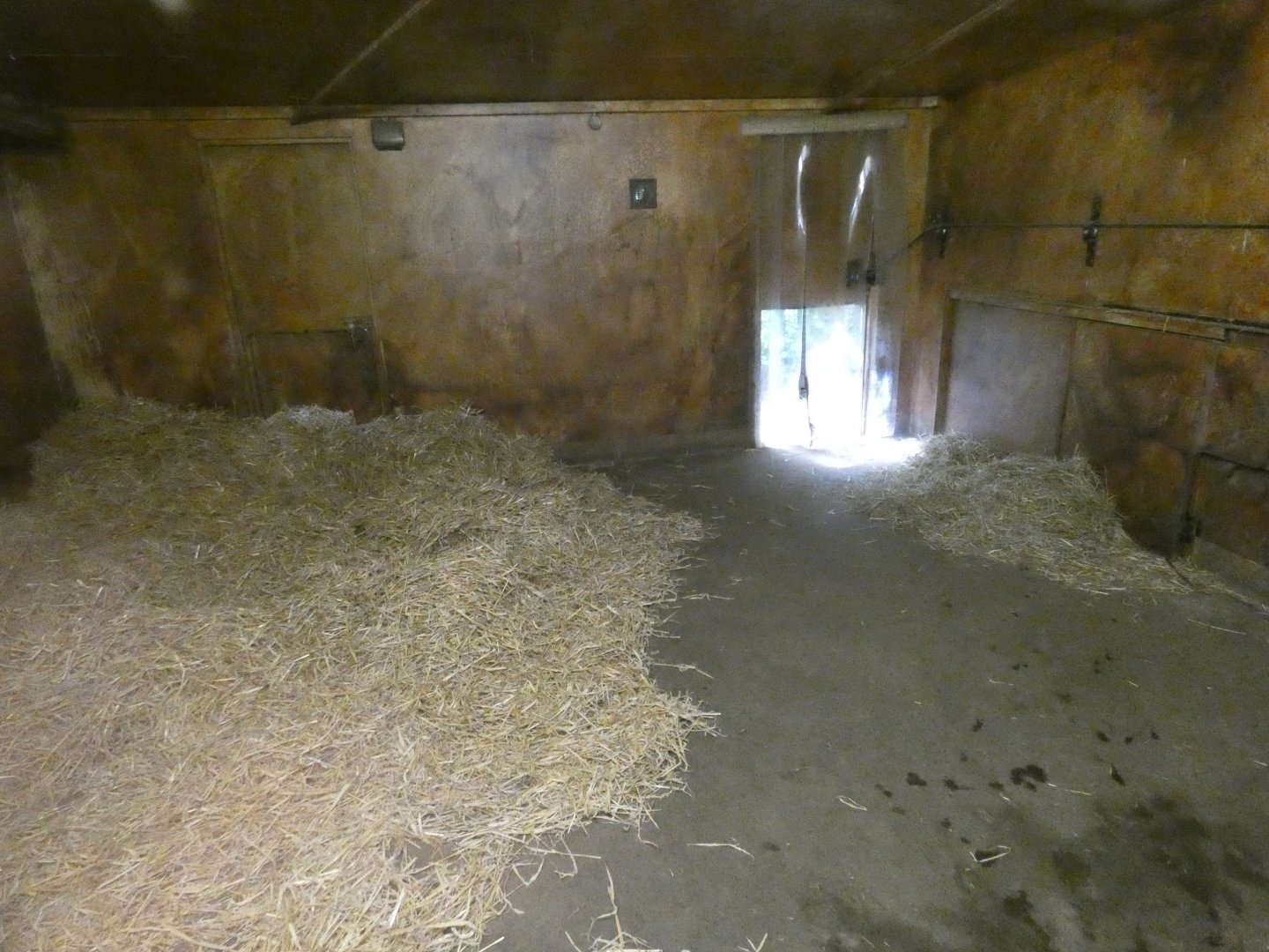 Red river hog indoor enclosure