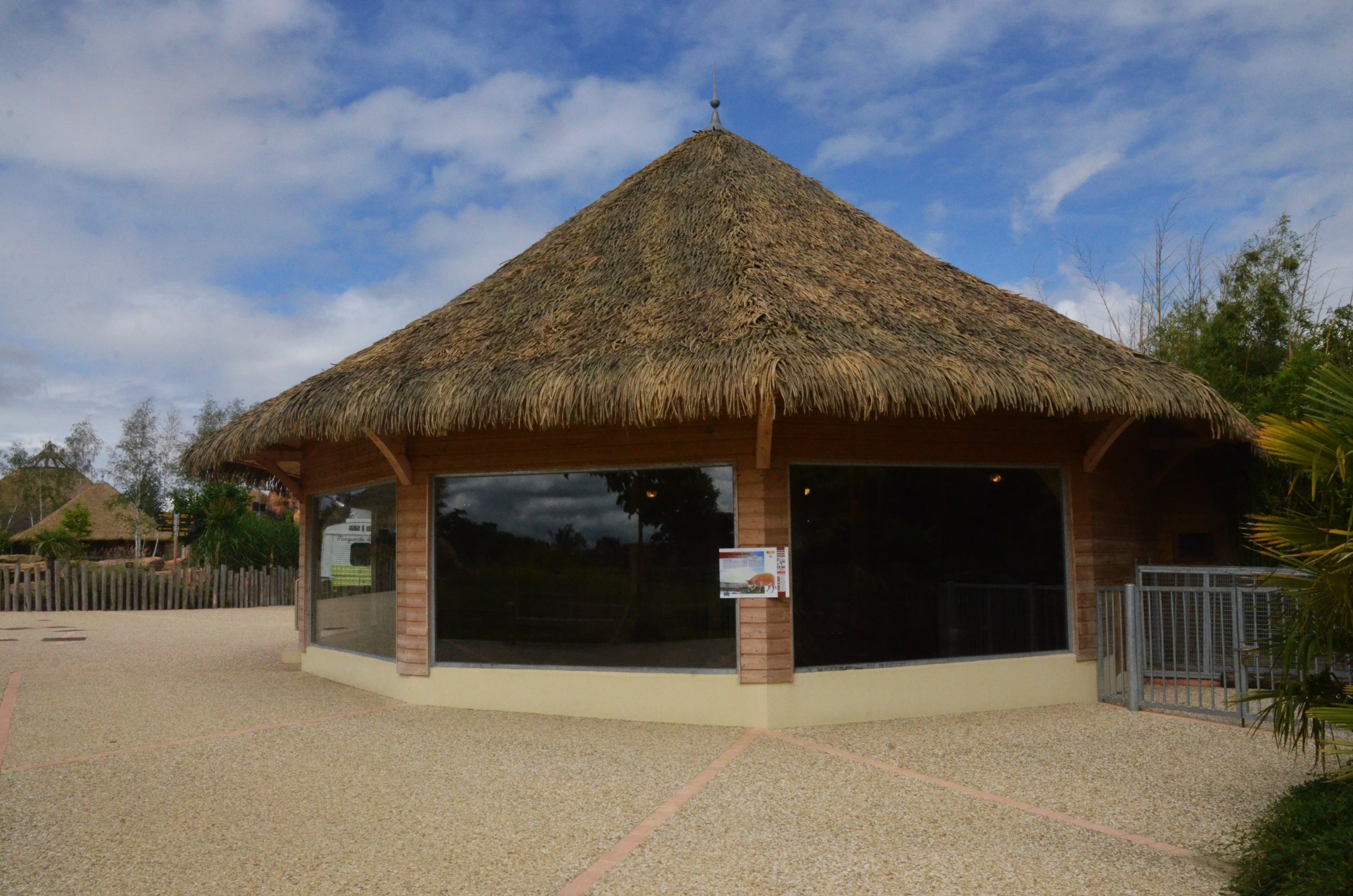Red River Hog Indoor Viewing at Beauval, 12/06/18