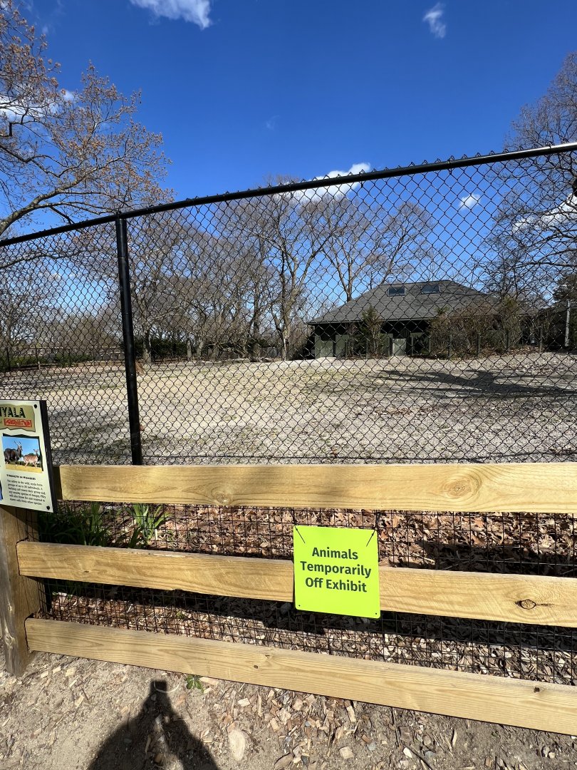 Red River Hog/Lowland Nyala Exhibit