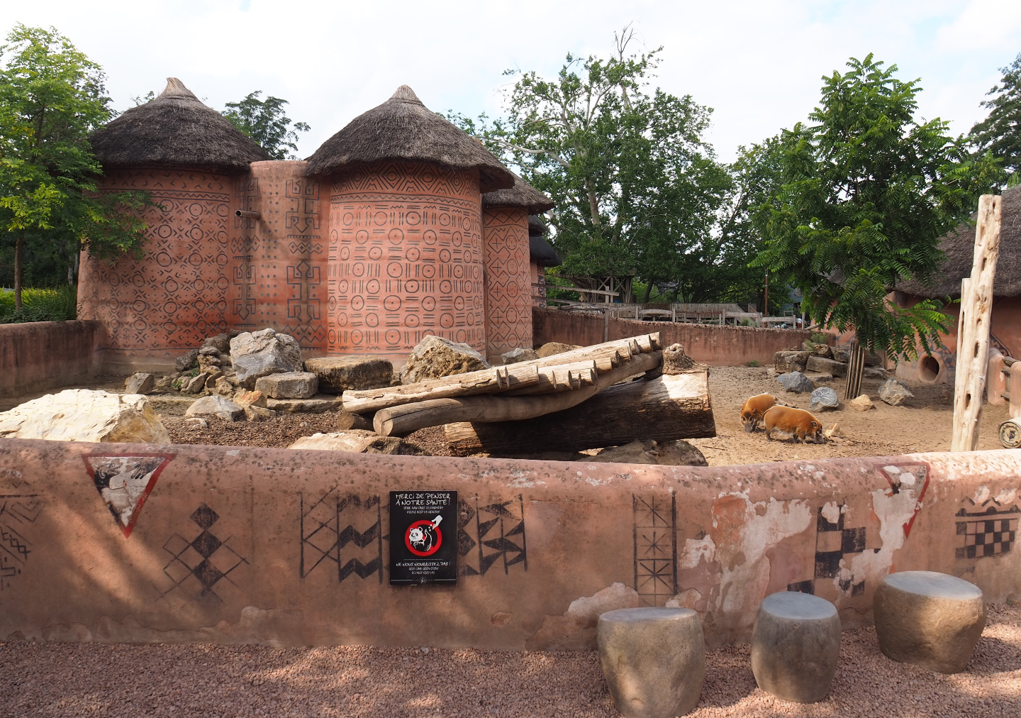 Red river hog pen, 2020-09-02