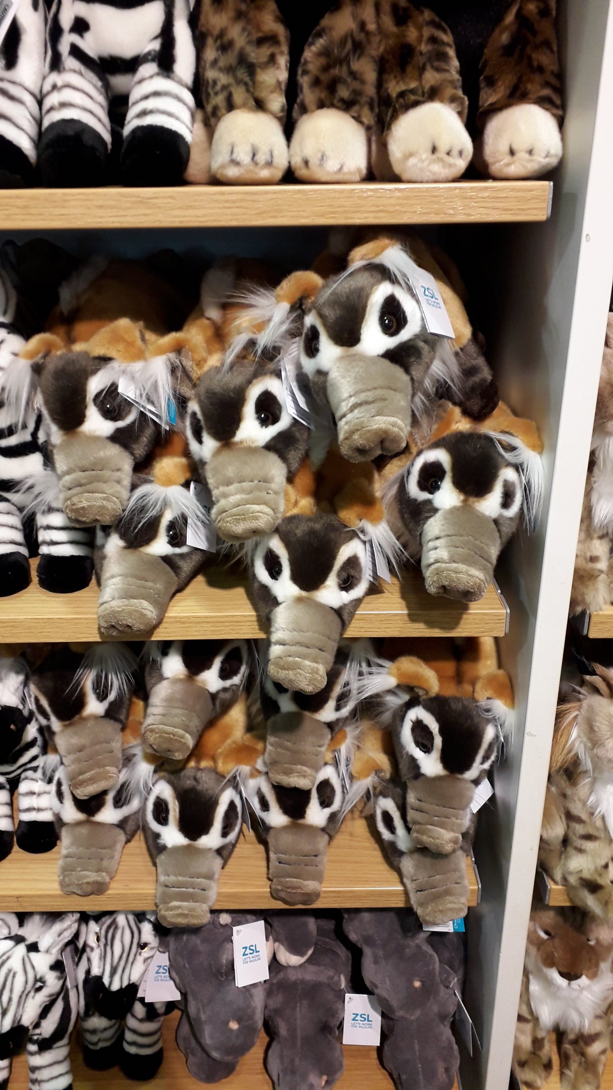 Red River Hog soft toys