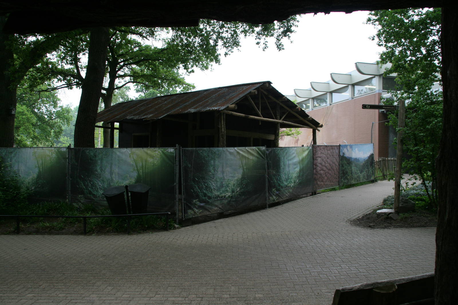 Red river hog stable under constuction