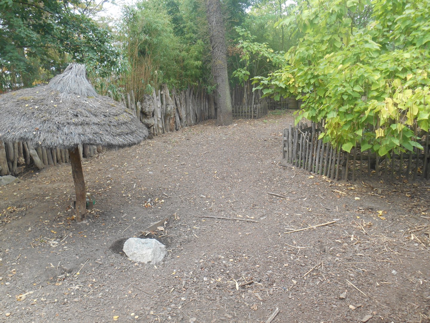Red River Hogs Exhibit
