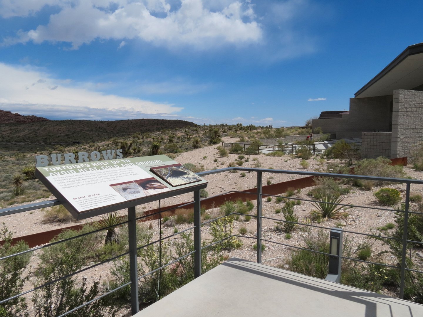Red Rock Canyon - Desert Tortoise Habitats
